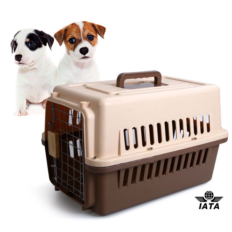 plastic pet flight carrier