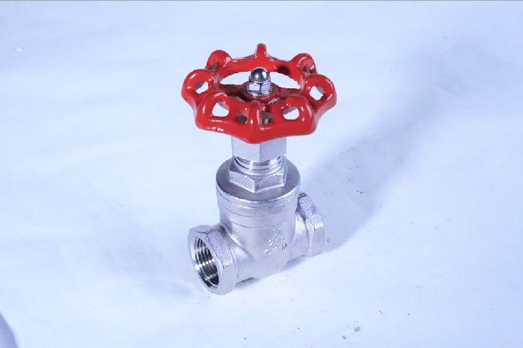 Stainless steel gate valve