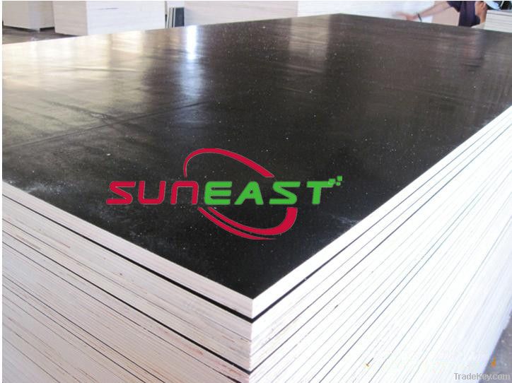 Black and brown film faced plywood for building construction, concrete