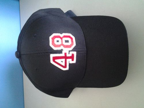 3D Embroidered cotton sports cap