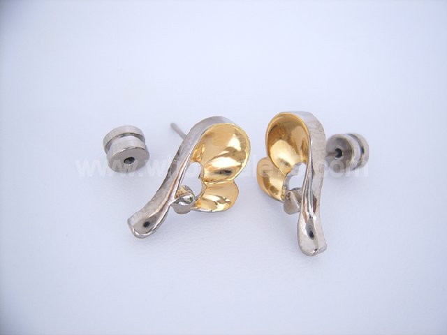 Titanium Earring