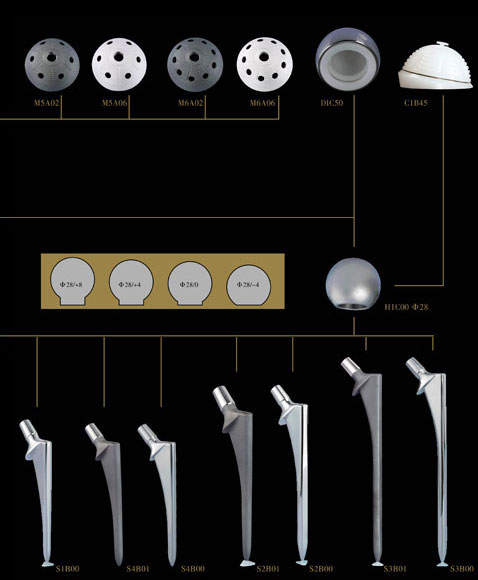 Cemented Stem,Changeable Femoral Head