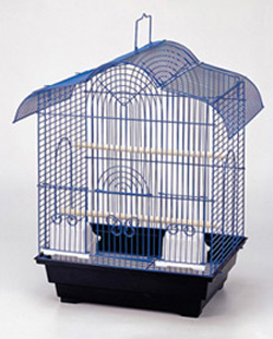 Iron Bird Cage 1