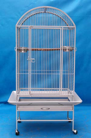 Iron bird cage 2