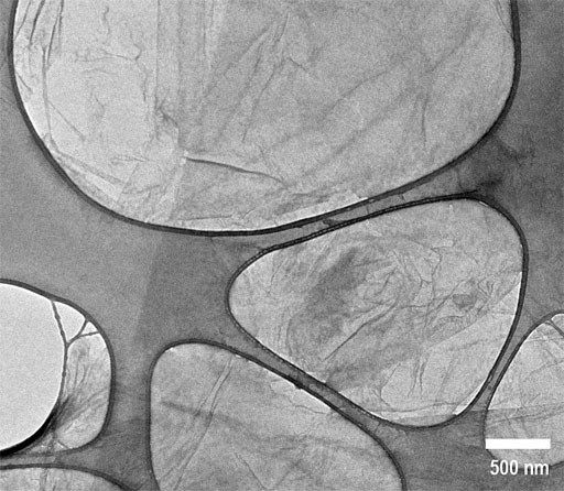 Graphene Oxide