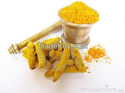 BCM-95 Bio-Biocurcumin