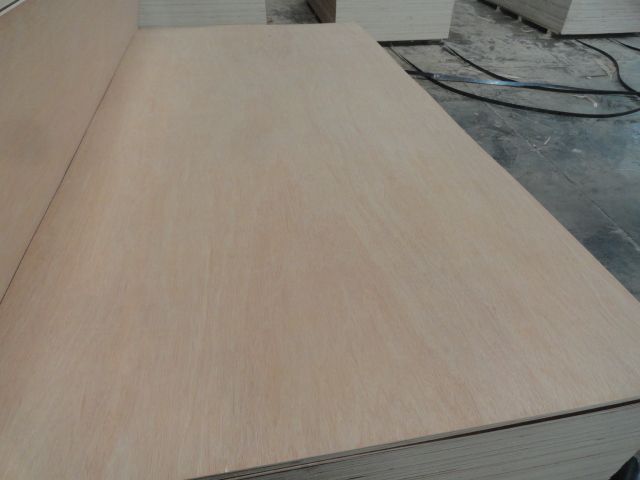 1220*2440mm size okume plywood