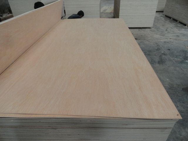 1220*2440mm size okume plywood