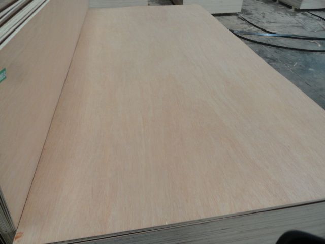 1220*2440mm size okume plywood