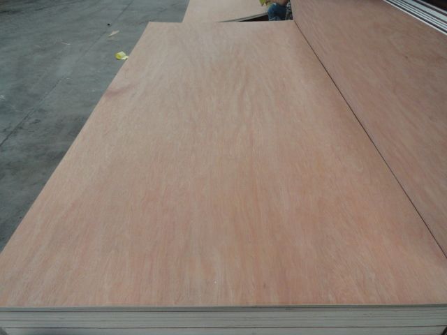 bintangor veneer plywood