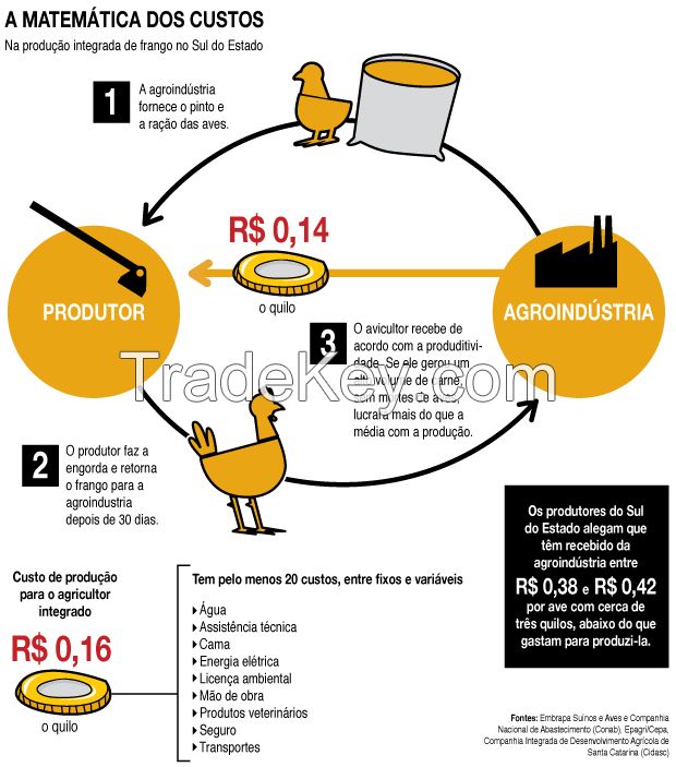 Refrigerator poultry, slaughter 700, 000 chickens per day Huge in Brazil