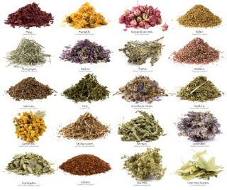 Herbs medical seeds herbs herbal tea
