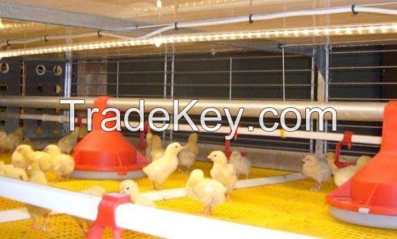 hot sale broiler cage system for chicken farm