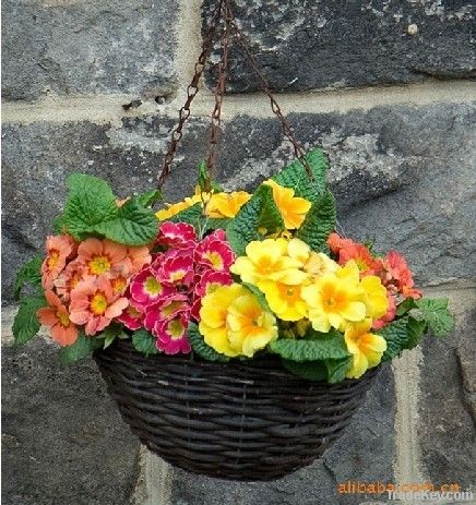 Conical Basket Garden Plant wicker Basket