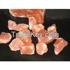 Himalayan Animal Licking Salt