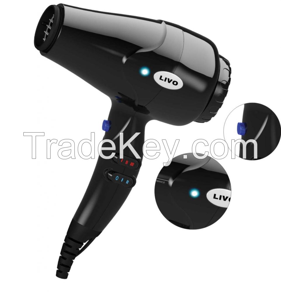 AC Hair Dryer