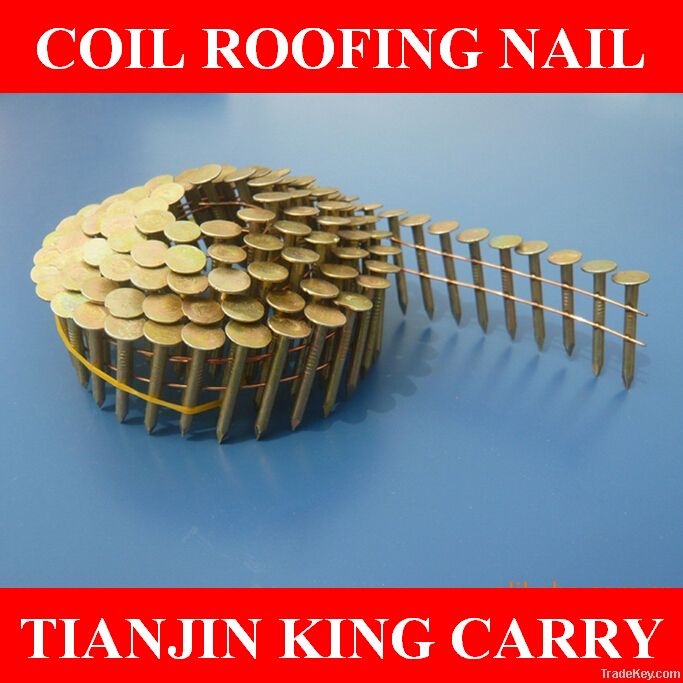 Galvanized Coil Roofing Nails with Flat Head