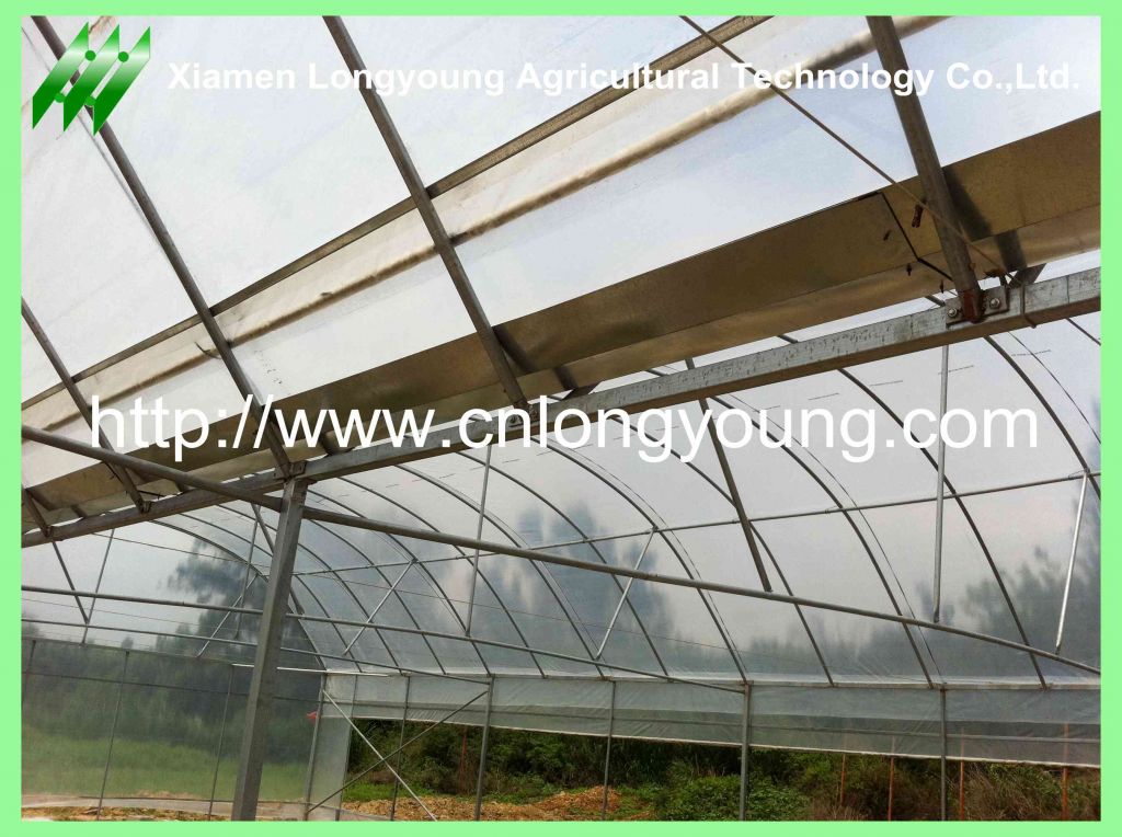 large mutil-span greenhouse