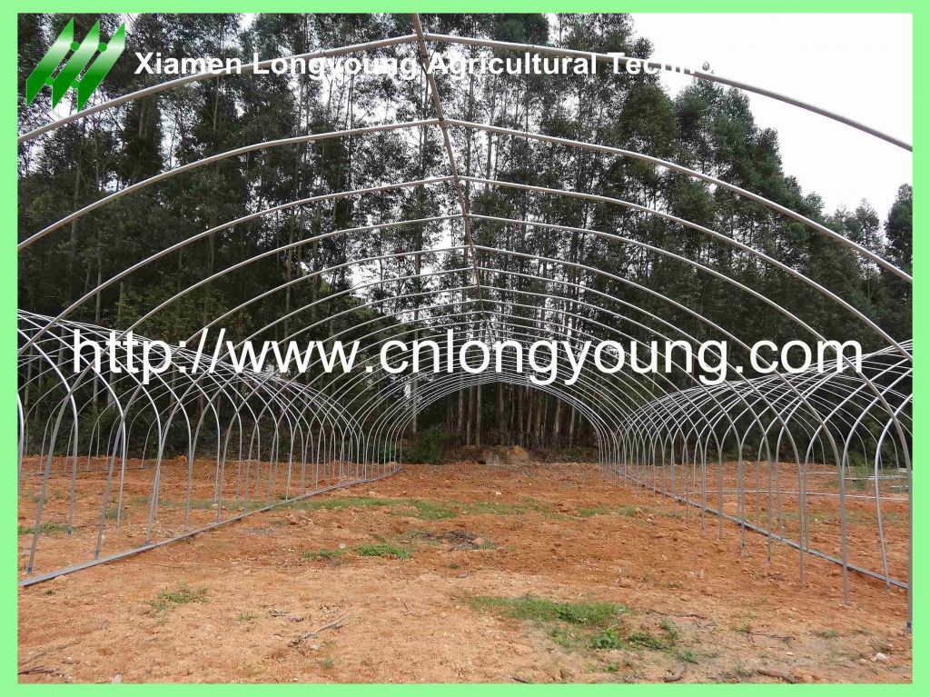 tunnel greenhouse hot sale