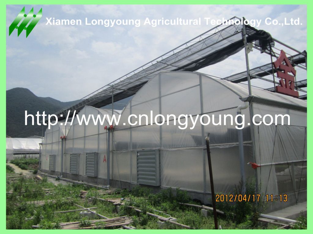 mutil-span greenhouse