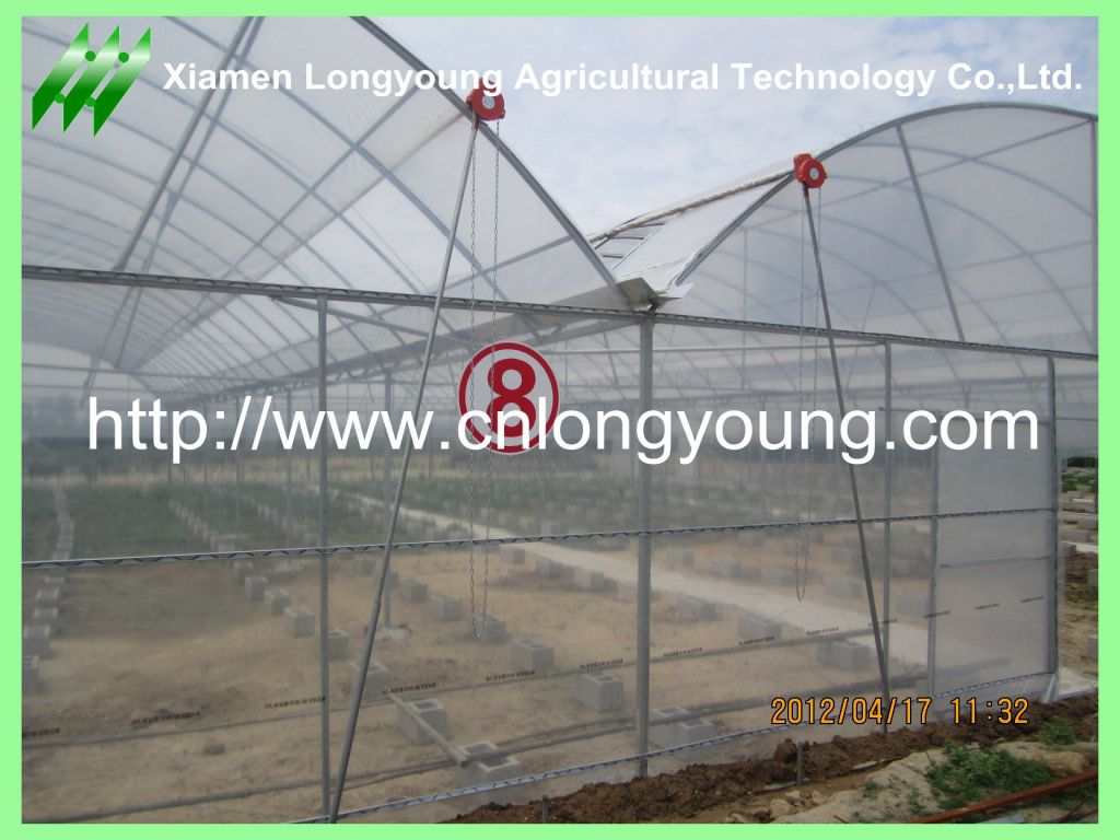 large mutil-span greenhouse