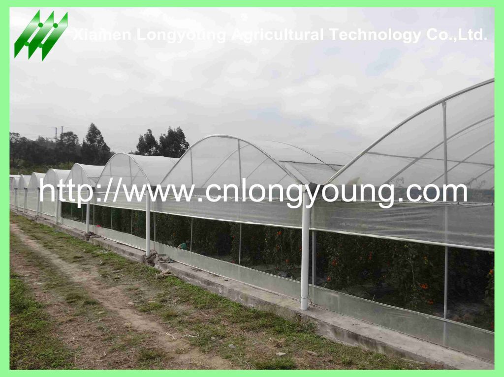 tunnel-connected greenhouse