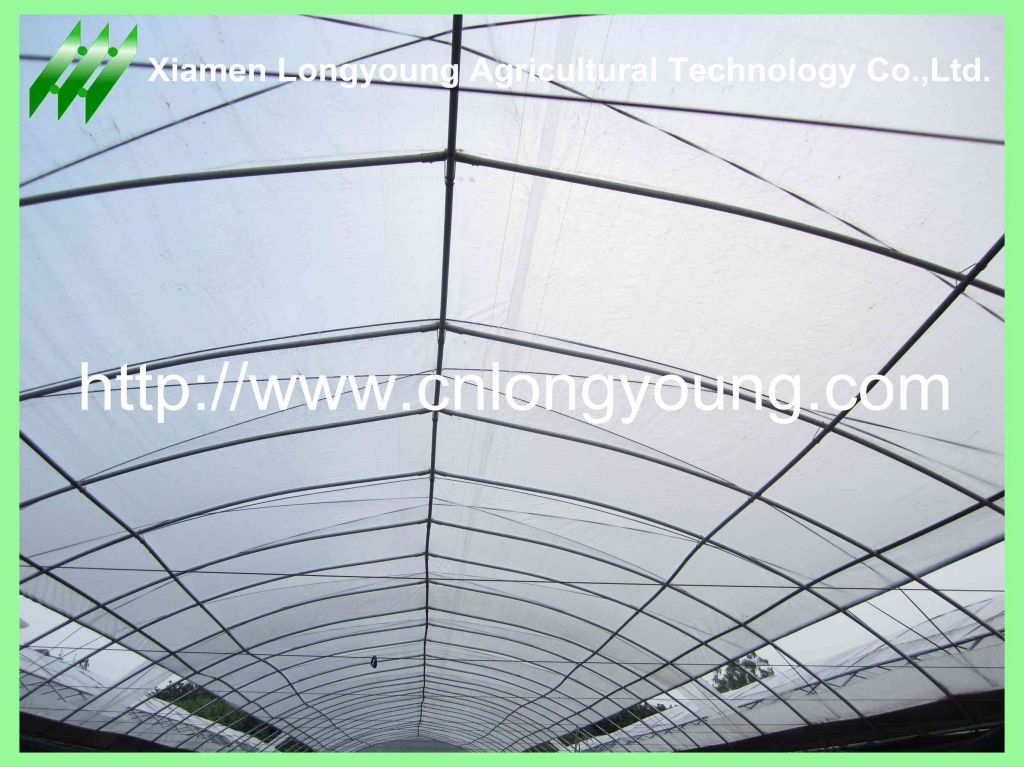 tunnel greenhouse hot sale