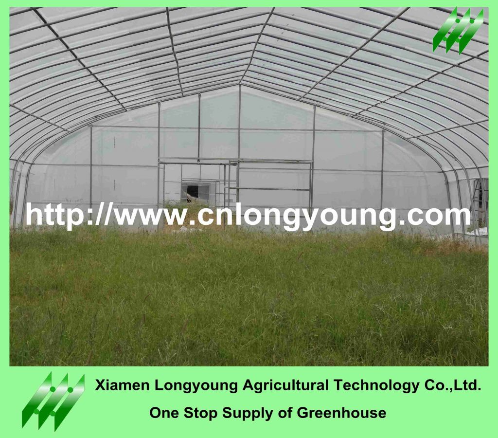 single tunnel greenhouse sale