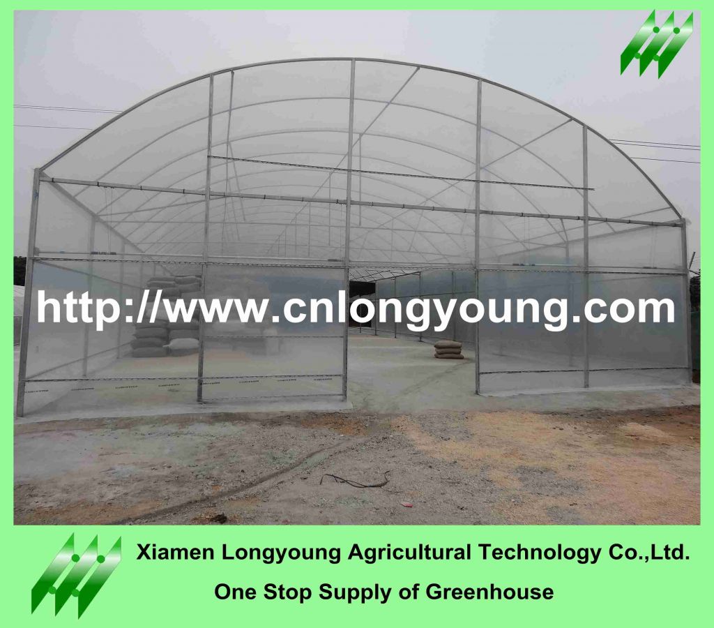 agriculture tunnel greenhouse sale