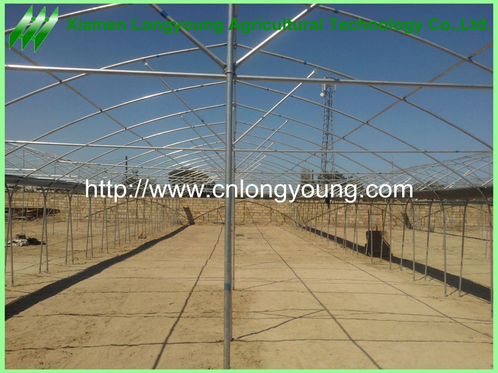 agriculture greenhouse sale