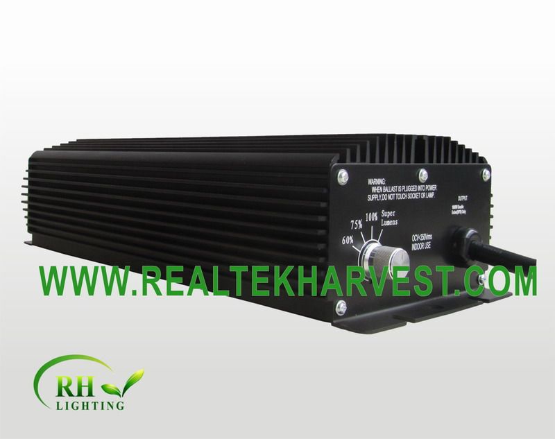 240V1000W double ended ballast