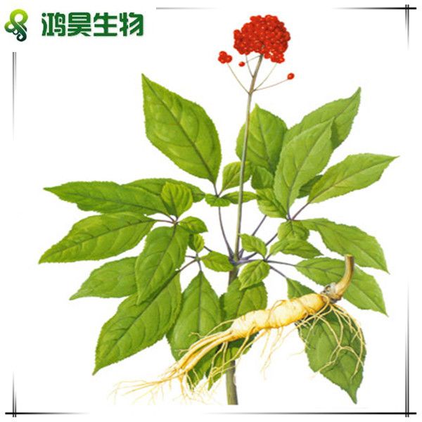 herb extract, fruit juice powder and vegetable powder China supplier