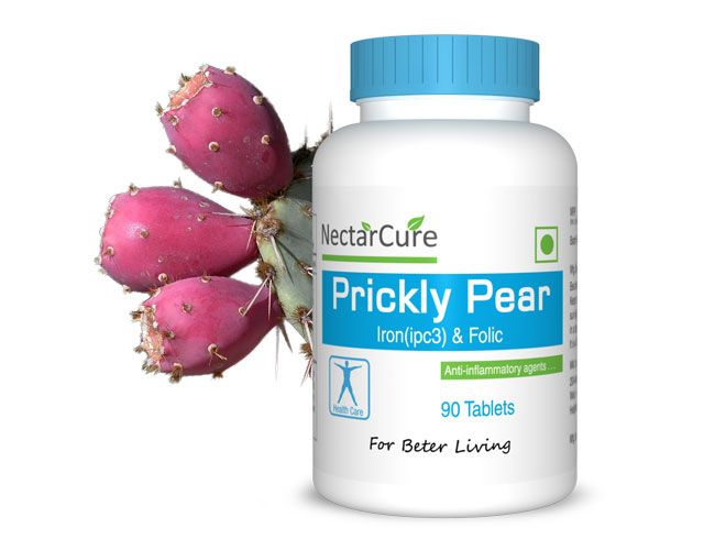 Prickly Pear.