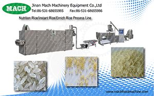 Nutrition Rice /Artificial Rice/Enrich Rice/Instant Rice Process Machine