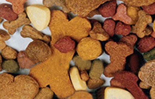 pet dog fish food snack food extruder processing machine