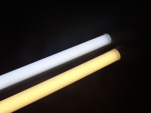 Fluorescent lamp