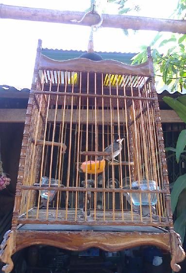 Bird Cage Best Seller Bird Cages Wholesale Wood Wooden High-End Handmade Bird Cage Home Decore