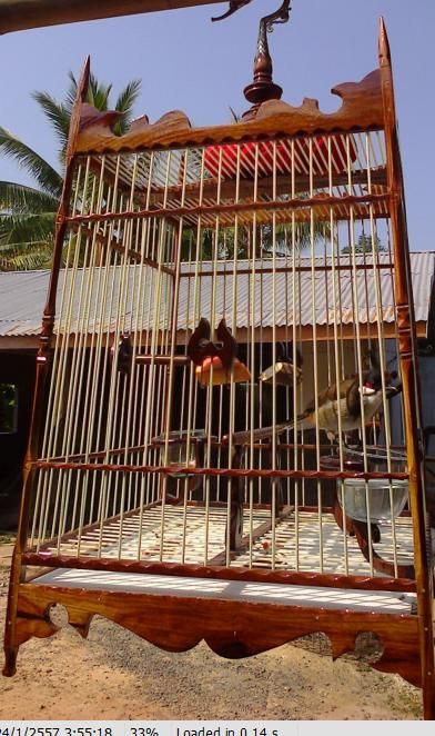 Bird Cage Best Seller Bird Cages Wholesale Wood Wooden High-End Handmade Bird Cage Home Decore