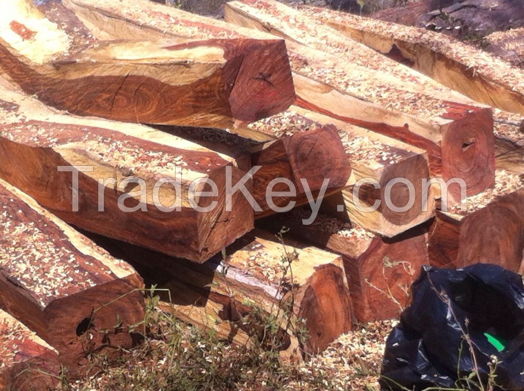 Hard wood Timber., .RED EXOTIC COCO WITH CITES FROM MEXICO, Barcino, KATALOX, GRANADILLO, TZALAM, Pine, Primavera , Palo Blanco/White mahogany), Parota, Rosa morada, teak etc