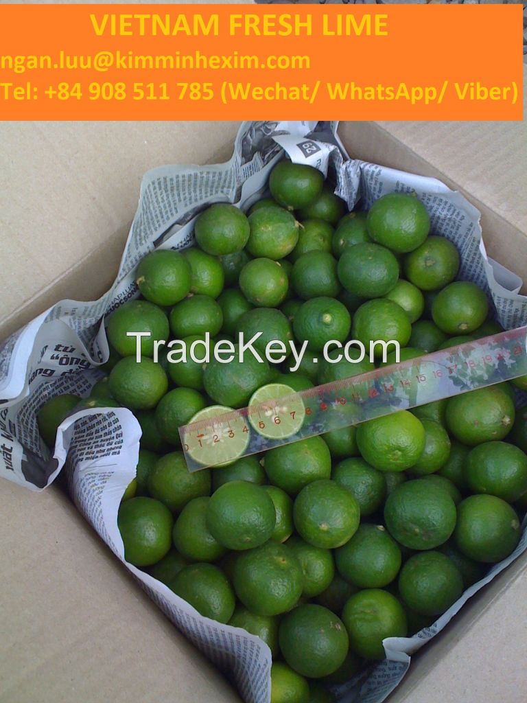 FRESH LIME/ LEMON, FRESH LIME SEEDLESS, VIETNAM FRESH LIME