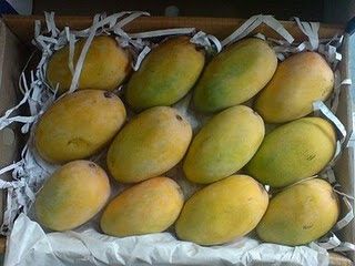 Fresh Mangos