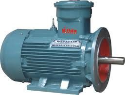 Explosion Proof Motor