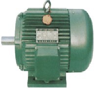 Three Phase Electric Motor