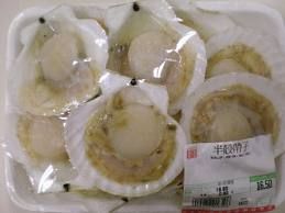 Frozen Scallop Meat/Frozen Razor Clam