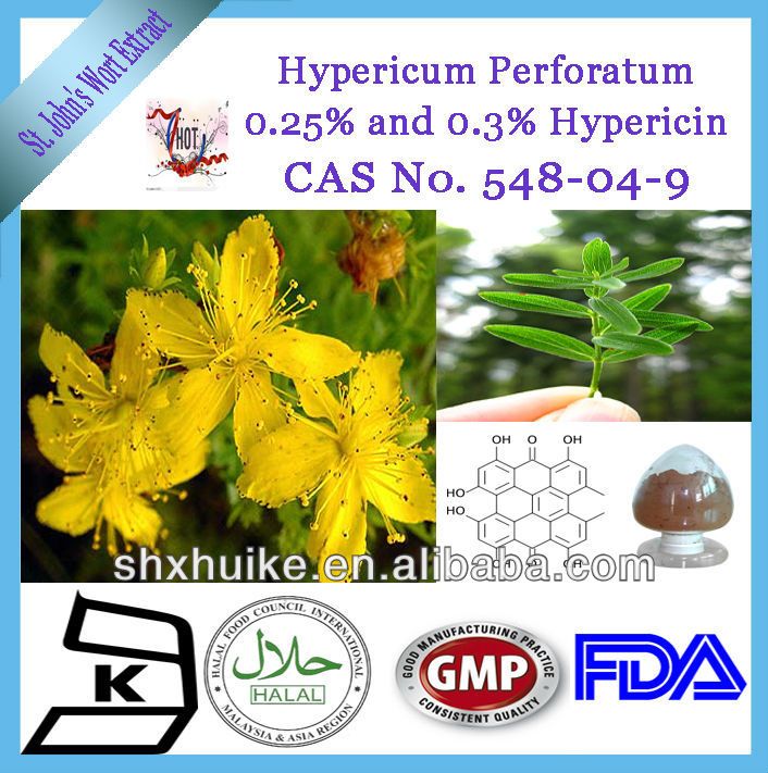 Large stock high quality St.John's Wort Extract Powder