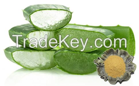 Aloe Vera Extract