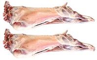 Lamb carcasses