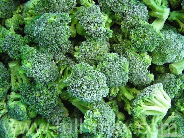 IQF Broccoli