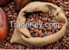 Cocoa Beans