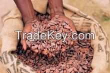 Fermented Cocoa Beans